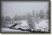 IMG_5922