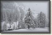 IMG_5925