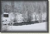 IMG_5926