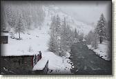 IMG_5931