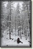 IMG_5933