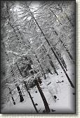 IMG_5934