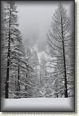 IMG_5935