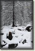 IMG_5938