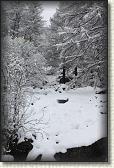 IMG_5939