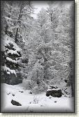 IMG_5940