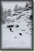 IMG_5941