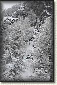 IMG_5942