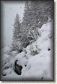 IMG_5943