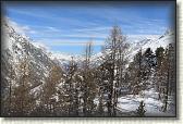 IMG_6092