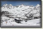 IMG_6120