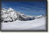 IMG_6135