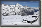 IMG_6153