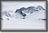 IMG_6368