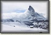 IMG_6403