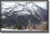 IMG_6425