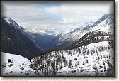 IMG_6426