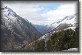 IMG_6428