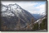 IMG_6429