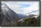 IMG_6431
