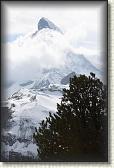 IMG_6434