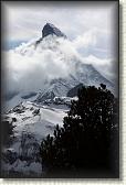 IMG_6436