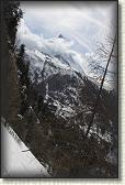 IMG_6445