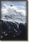 IMG_6451