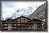 IMG_6481