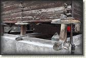 IMG_6494