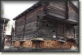 IMG_6505