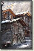 IMG_6551
