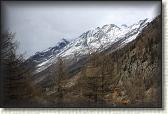 IMG_6568