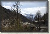 IMG_6570