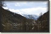 IMG_6571
