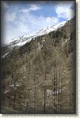IMG_6574