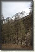IMG_6575
