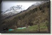 IMG_6577