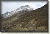 IMG_6588