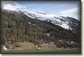 IMG_6589
