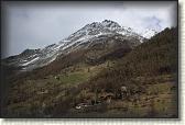 IMG_6590