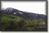 IMG_6596