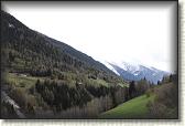 IMG_6599