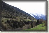 IMG_6604