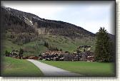 IMG_6608
