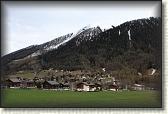 IMG_6610