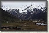 IMG_6617