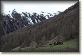 IMG_6631