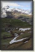 IMG_6694