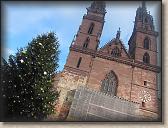 IMG_8115